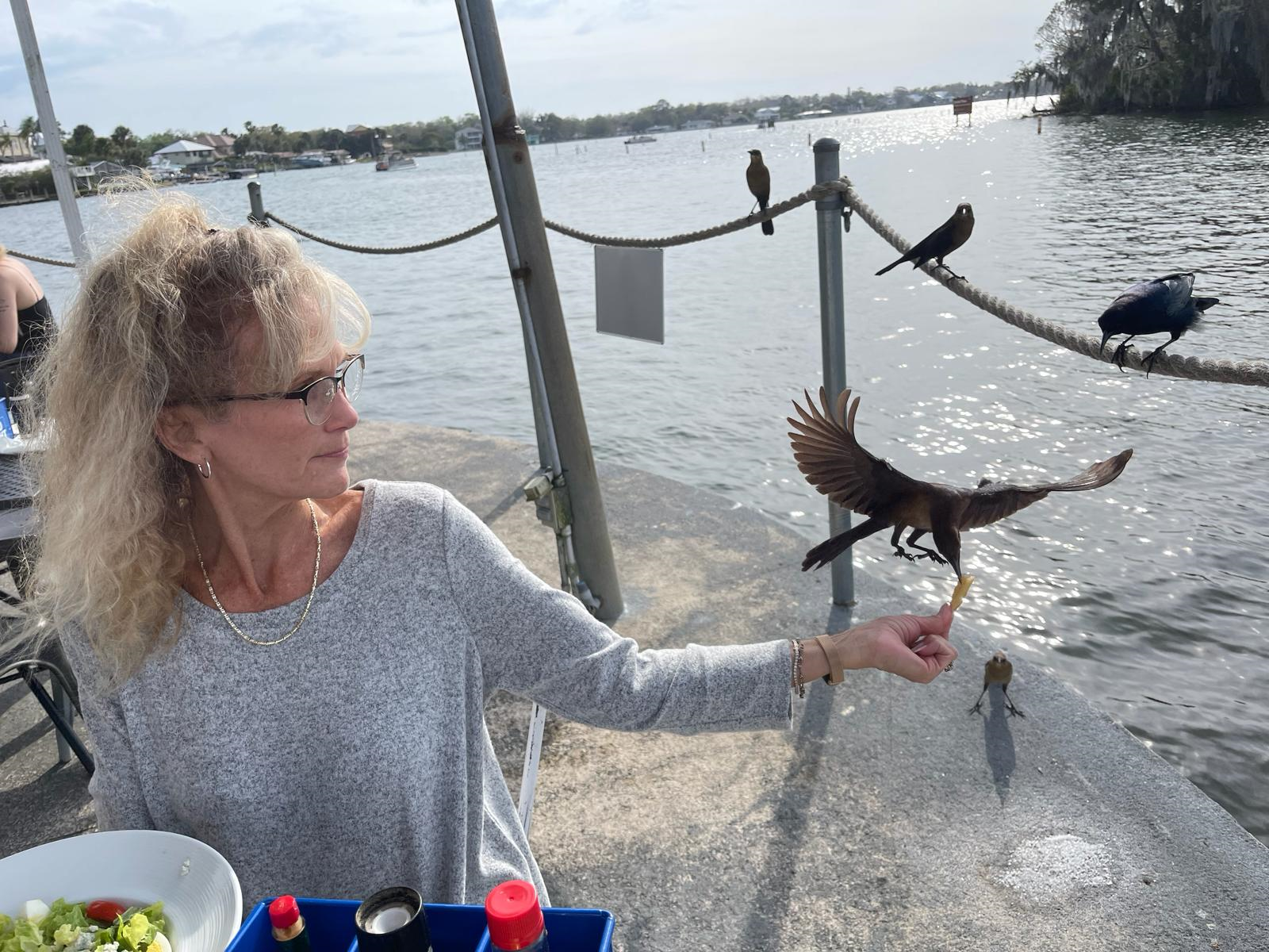 Verandah eating with the wildlife